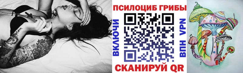 наркотики  Ишим  Псилоцибиновые грибы мухоморы 